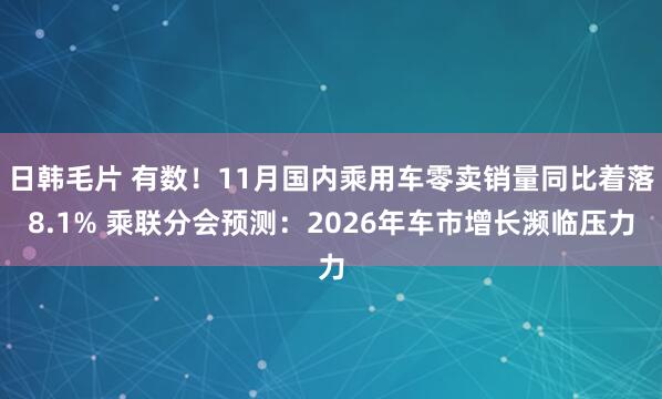 日韩毛片 有数！11月国内乘用车零卖销量同比着落8.1% 乘联分会预测：2026年车市增长濒临压力